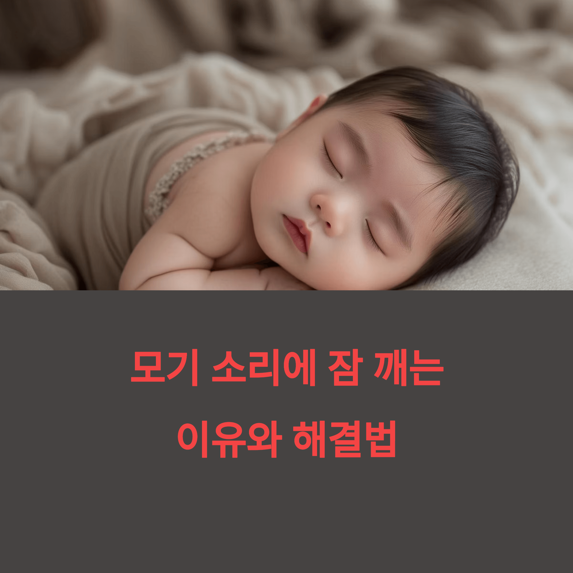모기 소리에 잠 깨는 이유와 해결법