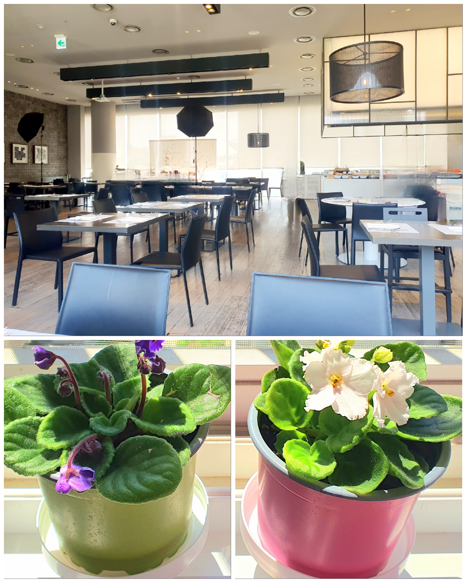 역삼-신라스테이-돌잔치에-다녀왔어요.