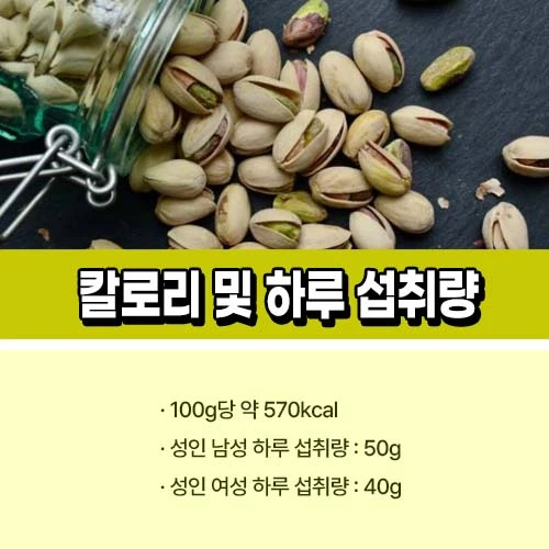 피스타치오 칼로리