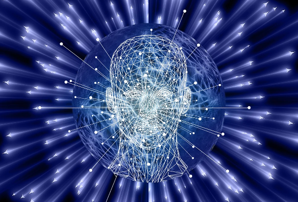 뇌 과학이 밝혀낸 최고의 학습법: 효과적인 공부 전략 10가지