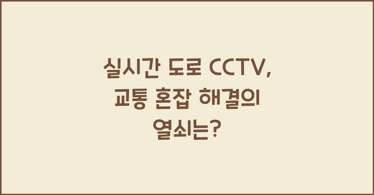 실시간 도로 cctv