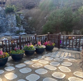 석모도 자연휴양림 숲나들e 국내 여행지 추천 관련 사진