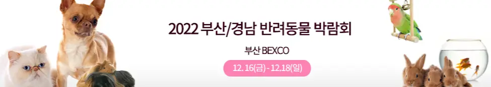 2022 부산 반려동물 박람회 메인 사진