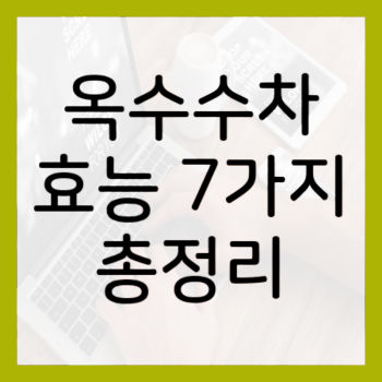 옥수수차-효능-7가지-썸네일
