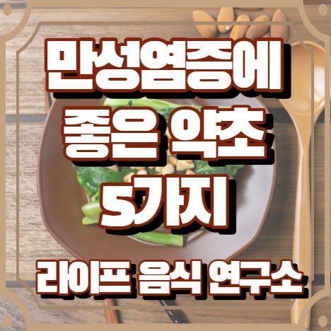 만성염증에 좋은 약초 5가지