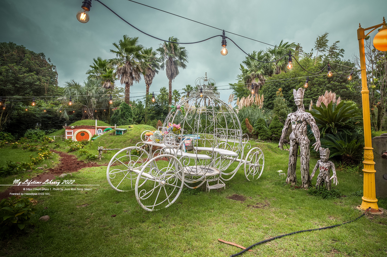 #제주 #파더스가든 #억새 #수국 #목마 #자전거 #2022제주여행