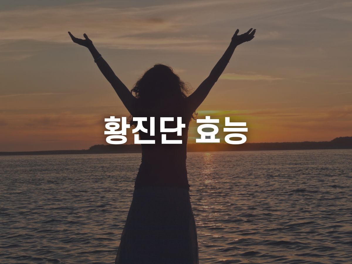 황진단 효능