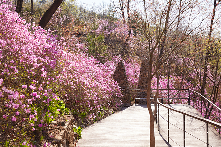 화담숲 예약 꿀팁