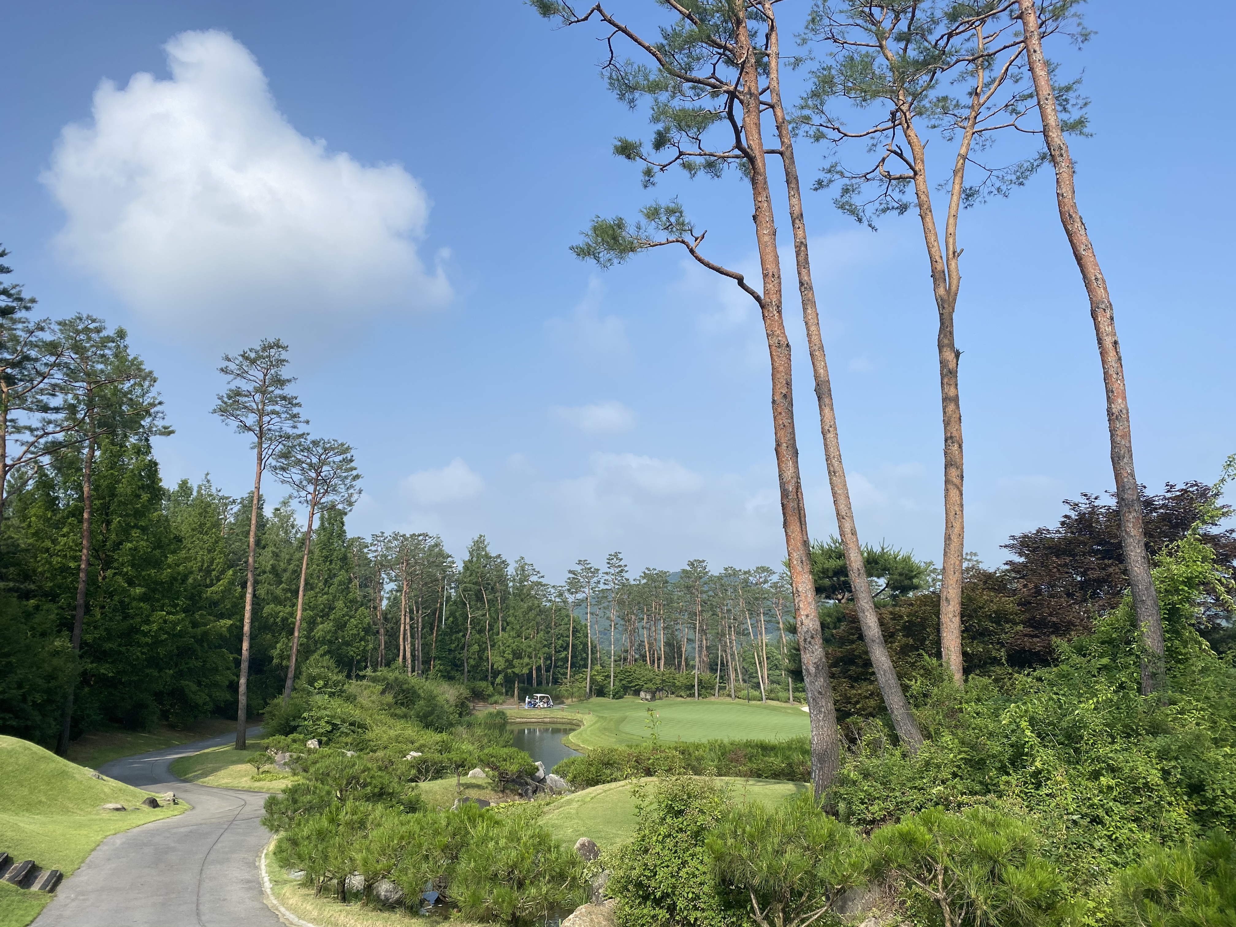 블루헤런골프클럽 파3