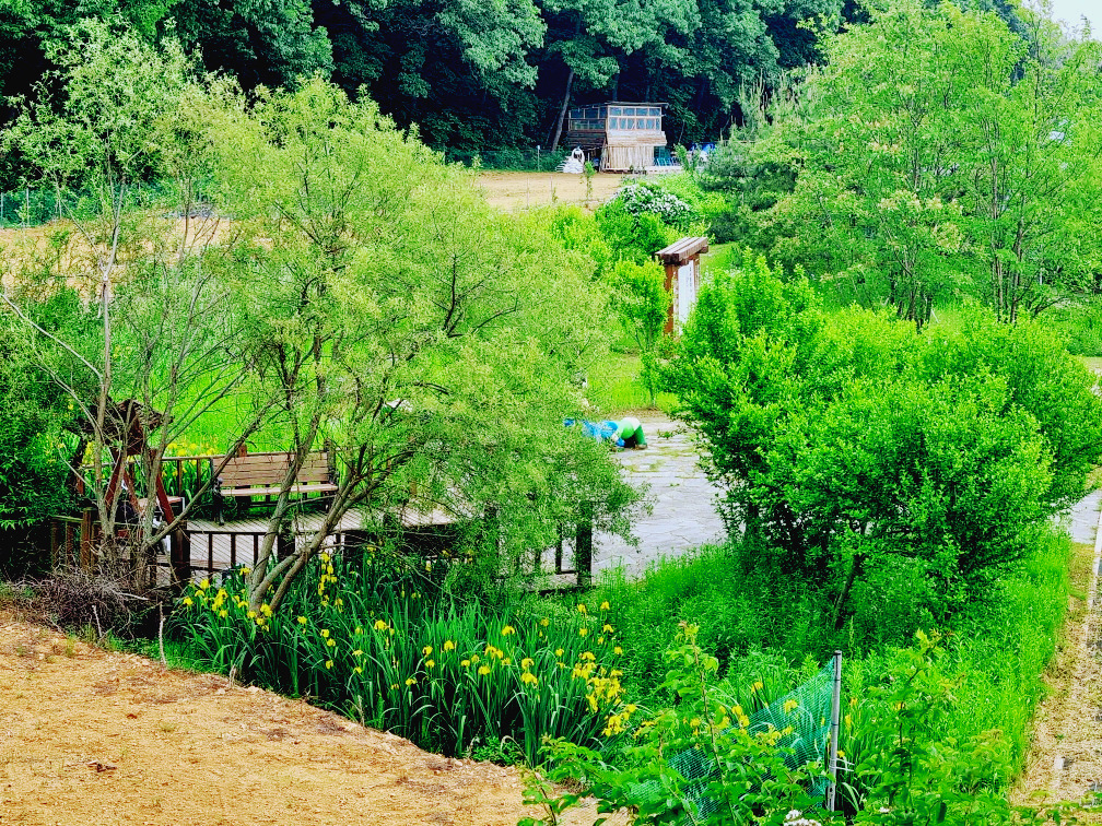 김포 가혜리카페: 또 가고 싶은 자연 속 브런치카페, 리뷰이벤트, 평화누리길