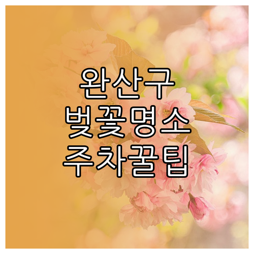 전주 완산구 벚꽃 명소 베스트 3 주..