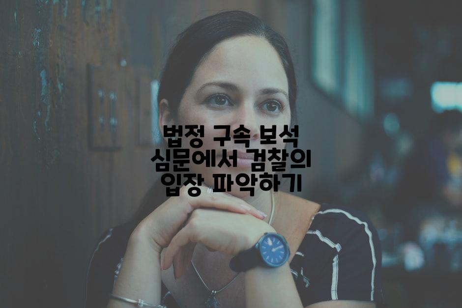 법정 구속 보석 심문에서 검찰의 입장 파악하기