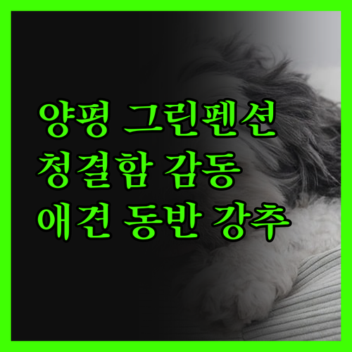 양평 그린펜션 솔직 후기 청결함에 감