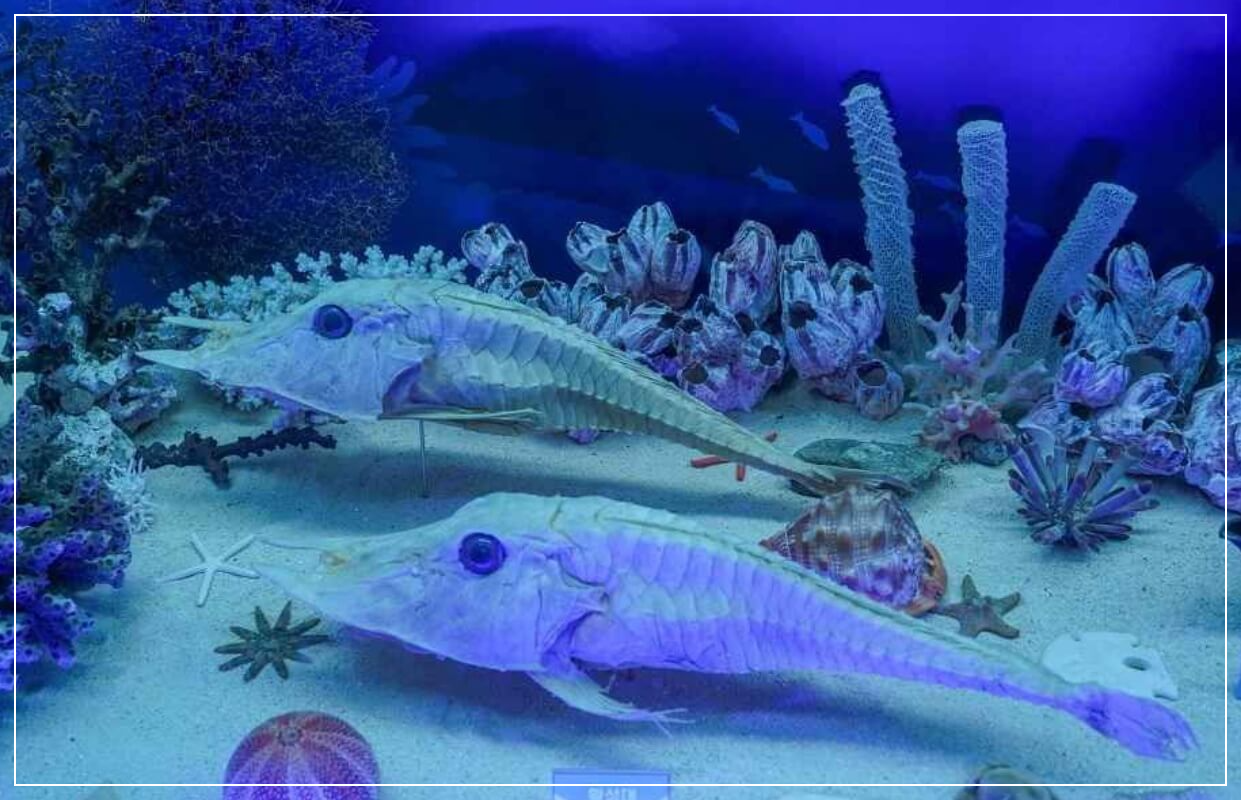 해남 가볼만한곳 베스트10 땅끝해양자연사박물관