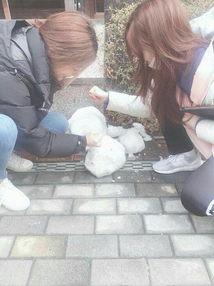 아이즈원 프로듀스48 사진 모음 아이즈원 프로듀스48 사진 모음