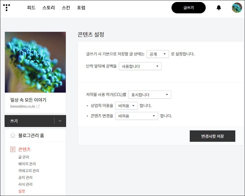 콘텐츠 설정