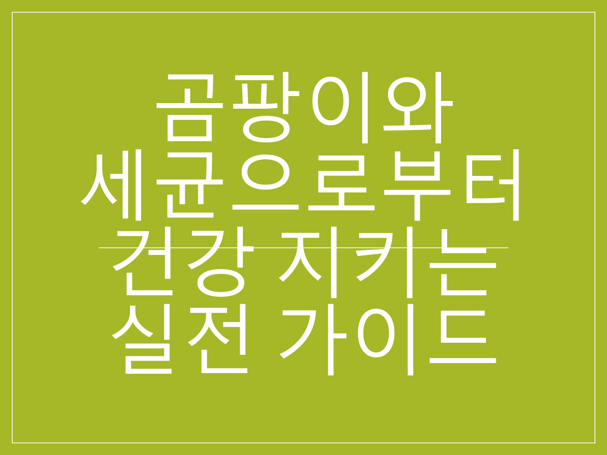 장마철 습도 99% 완벽 대응법|곰팡이와 세균으로부터 건강 지키는 실전 가이드
