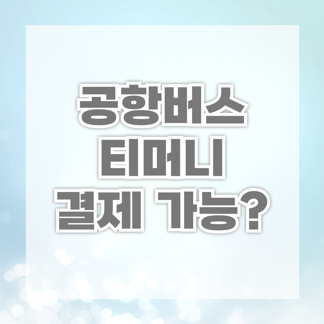 공항버스 티머니 결제 가능