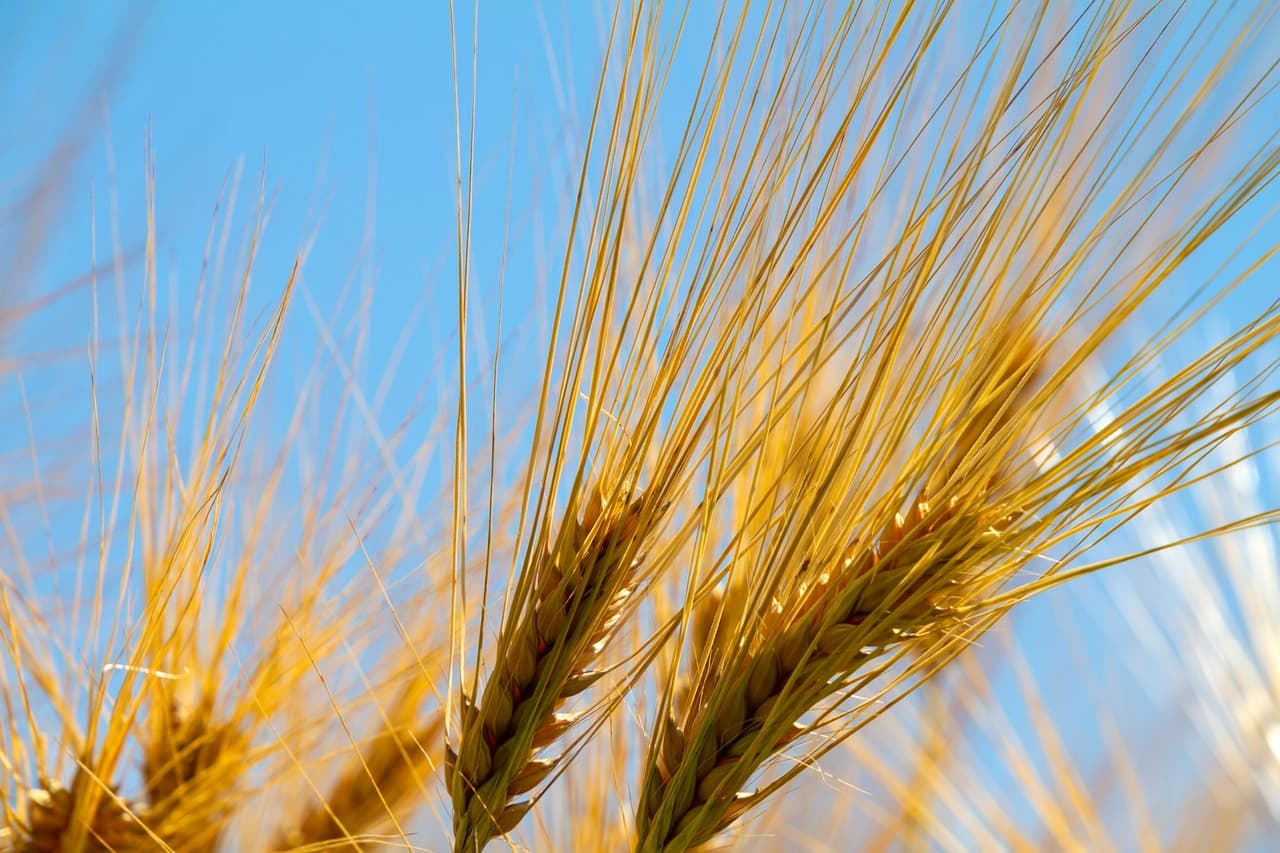 수능 70일 전, 지금 꼭 해야 할 일