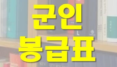 2024 군인 2025 군대 월급 병장 월급