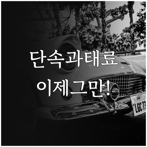 강북구 주정차단속알림 문자 수신 신청..