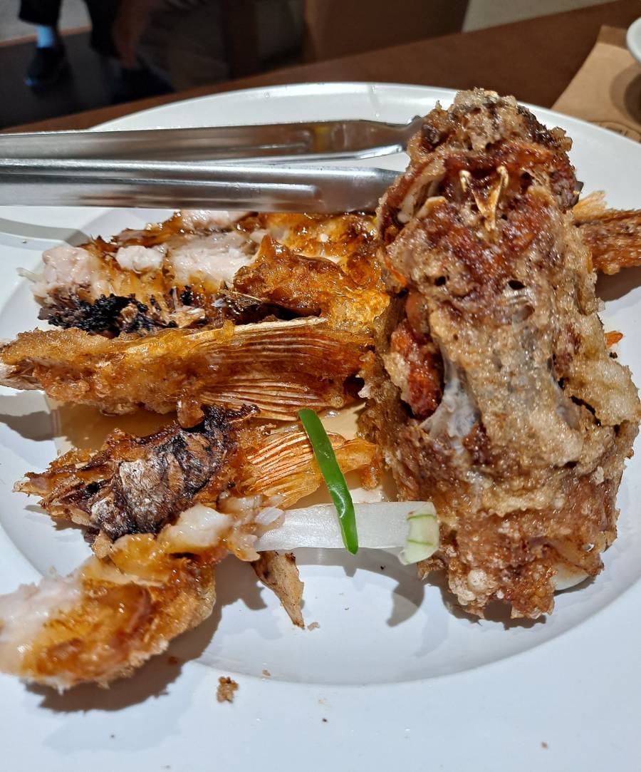 모담 열기탕수