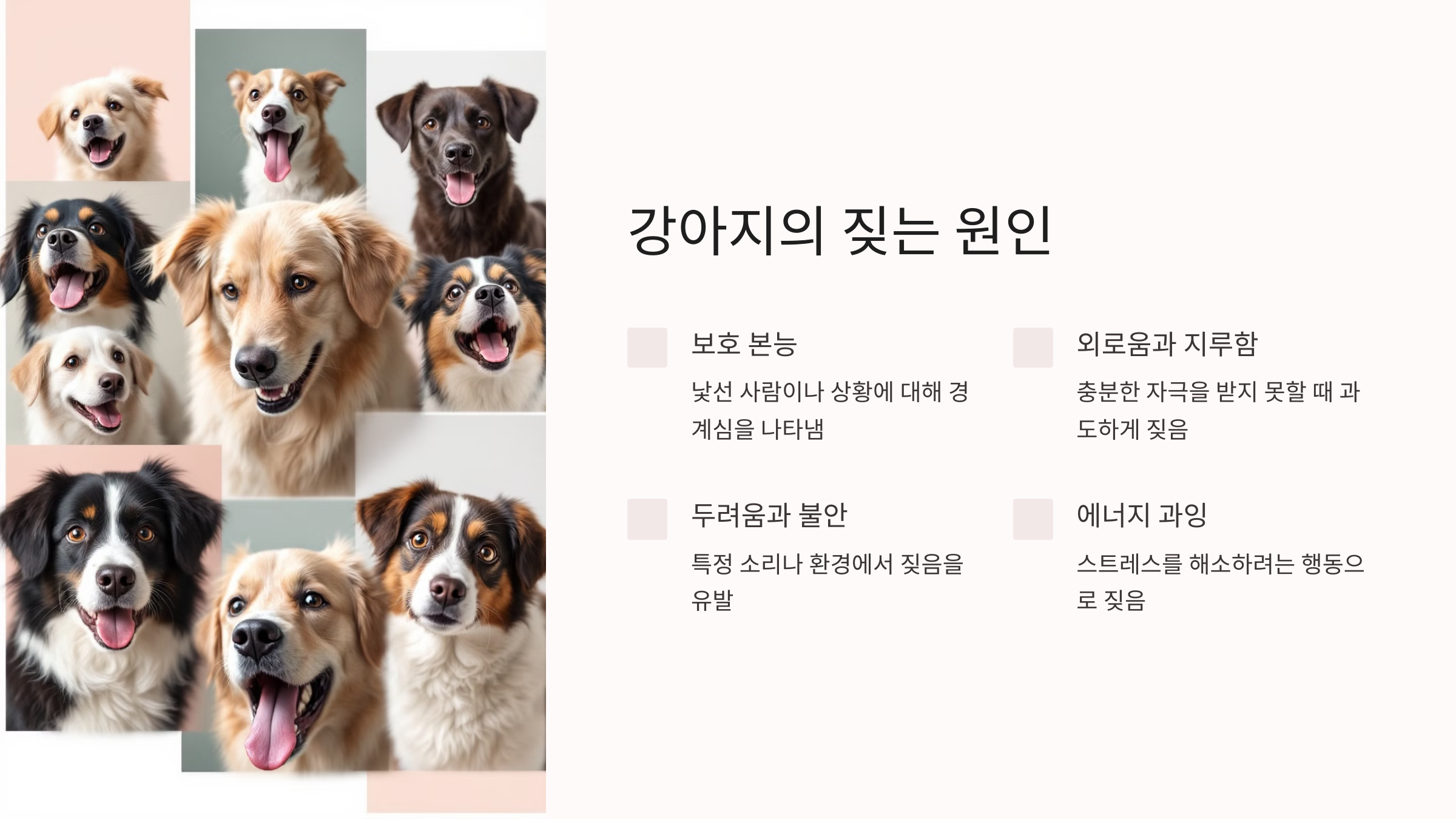 강아지의 짖는 원인