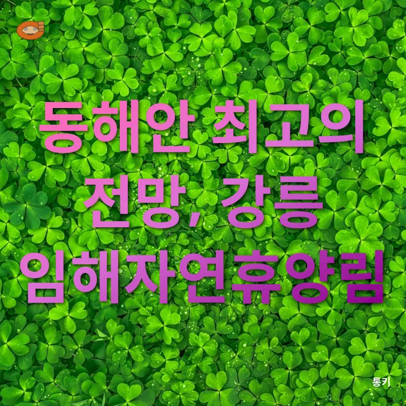 휴양림 예약의 행운_2