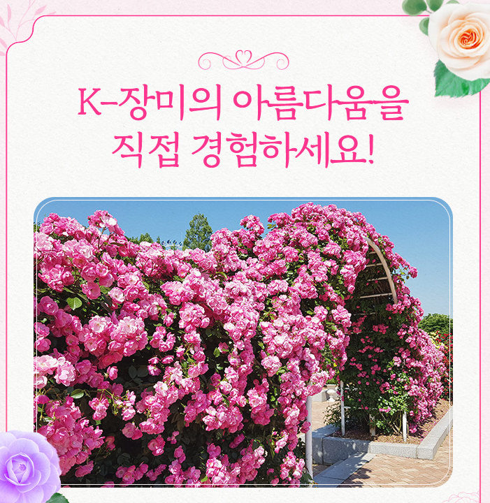 에버랜드-장미축제-꾸밈