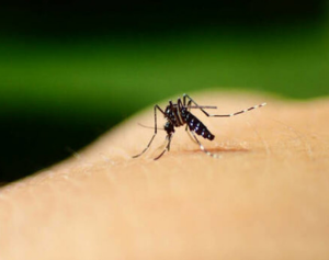 모기 물려서 가려울 때