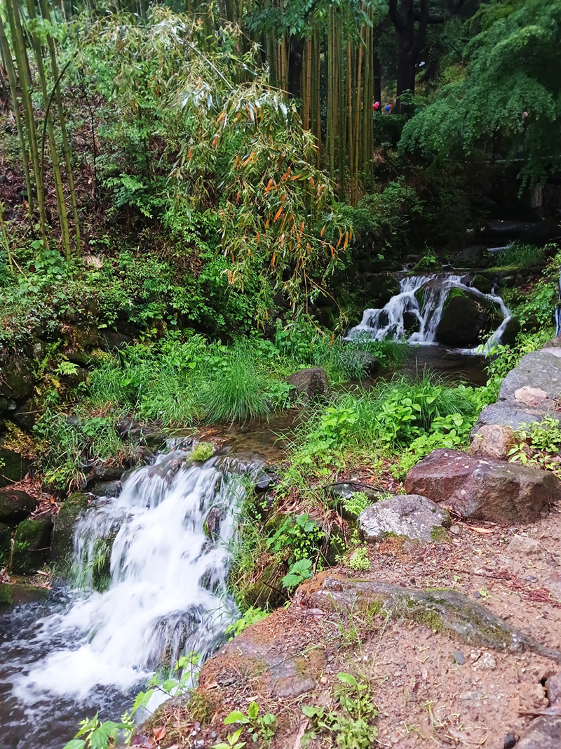 경남 쌍계사 템플스테이 신청 방법