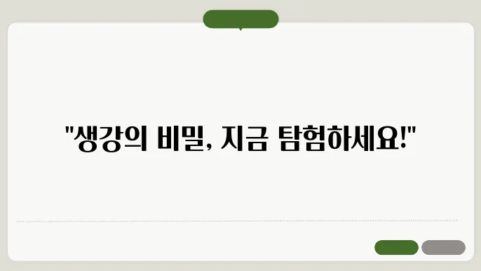 중부지방 생강 수확시기 및 최저가 사러에서 주환기