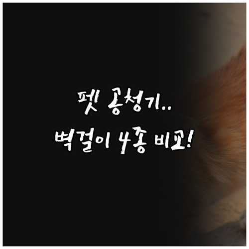 공간 절약 벽걸이 콤마 로브 펫 전용..