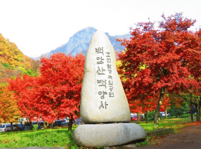 단풍축제 장성군 백양사