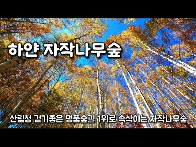 걷기좋은 명품 숲길 30선 숨겨진 코스_6