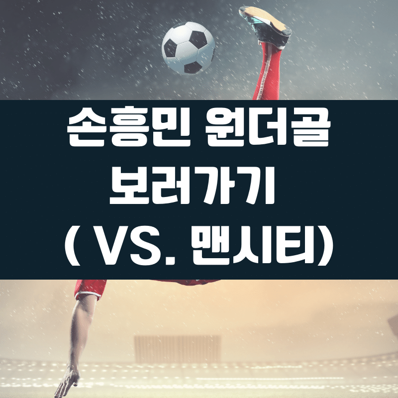 손흥민 골 영상