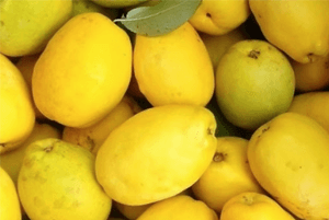 숙취해소효능06