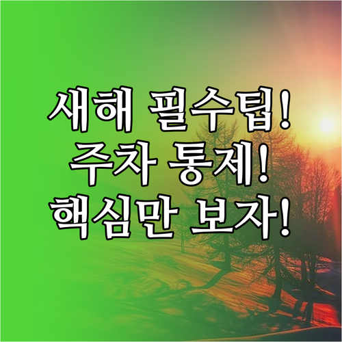 2026 새해 해돋이 명소 주차 통제..