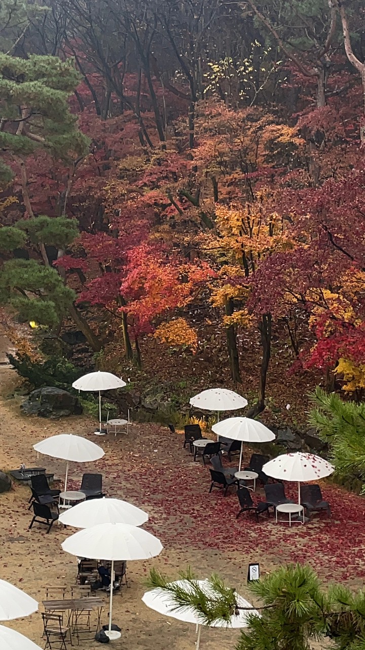 키스톤 스피시즈