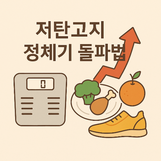 저탄고지 정체기 돌파법을 상징하는 체중계, 식단, 운동화, 상승 화살표 일러스트