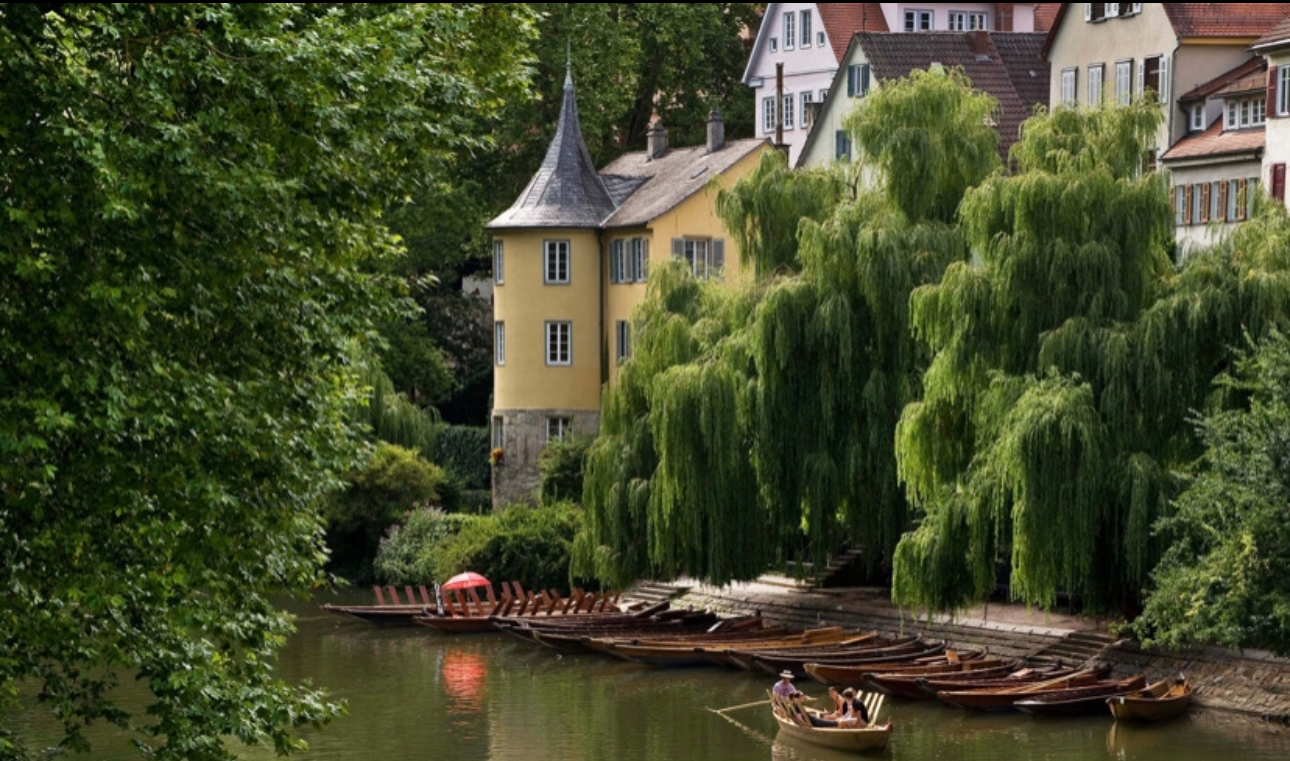 강가에 아름답게 서있는 홀더린 타워