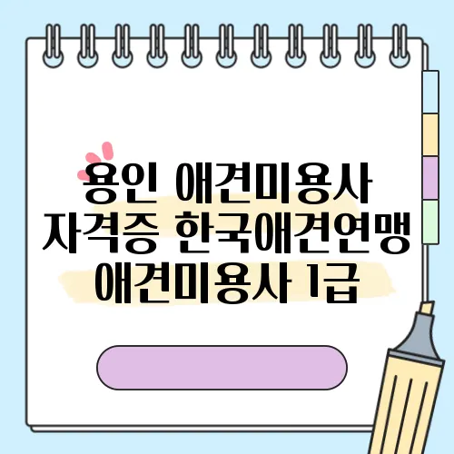 용인 애견미용사 자격증 한국애견연맹 애견미용사 1급