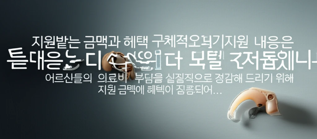 2025 제주 어르신 틀니 보청기 지..