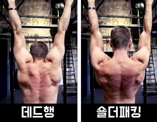 숄더패킹이미지