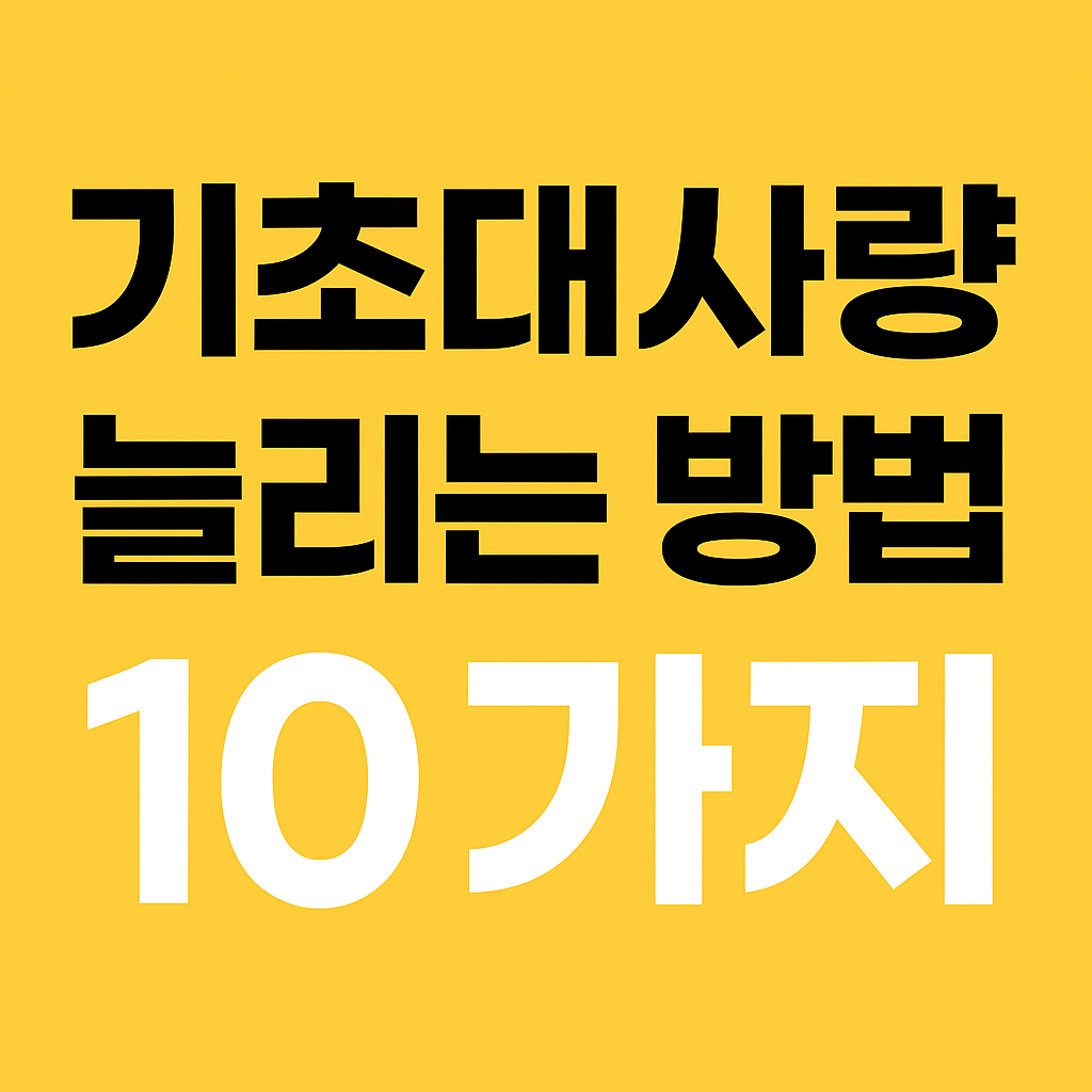 기초대사량 늘리는 방법 10가지 : 기초대사량계산기