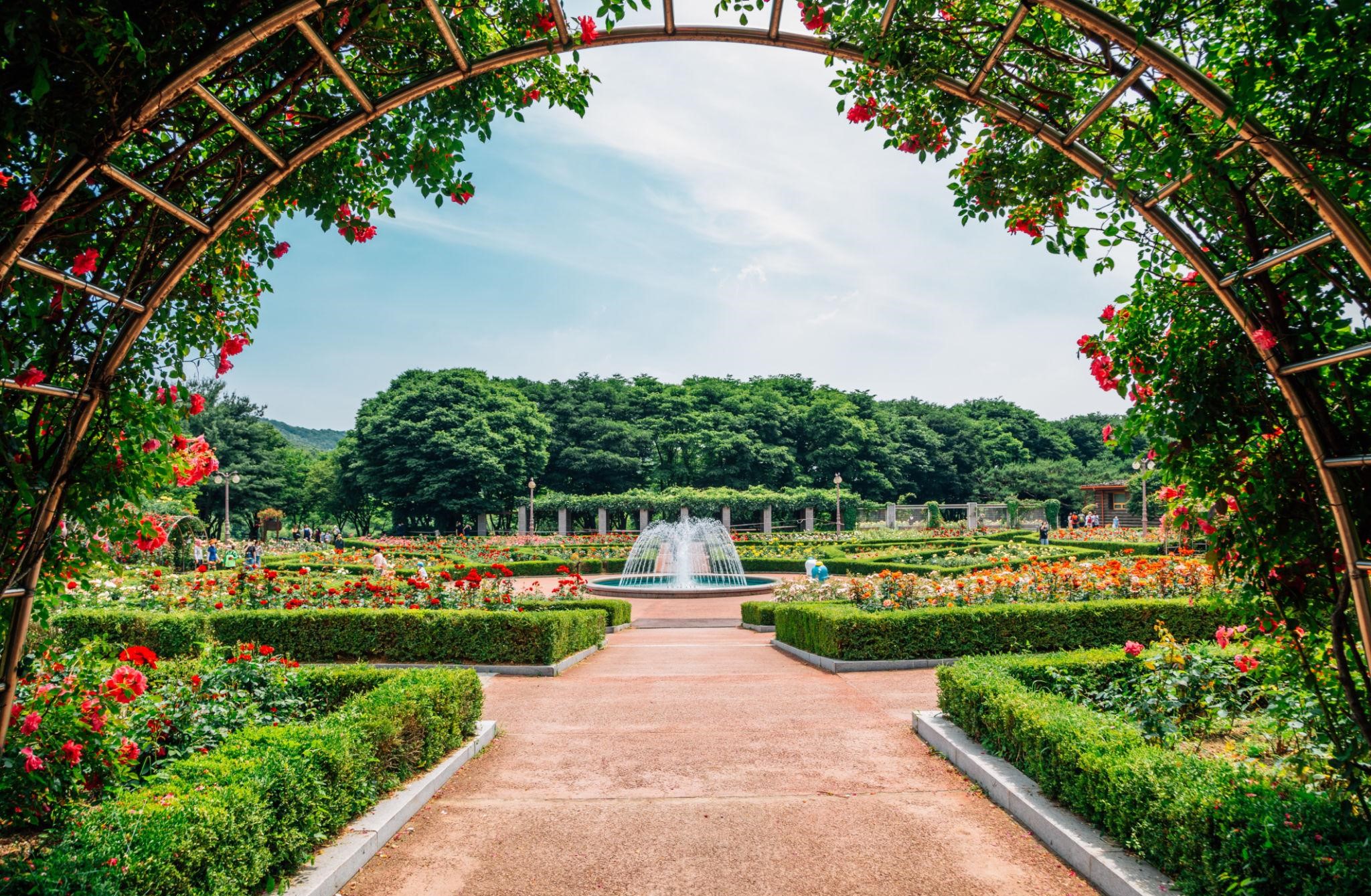 인천대공원 수목원 완벽 가이드: 수도권 최대 무료 도심 숲에서 만나는 사계절 힐링과 자연학습