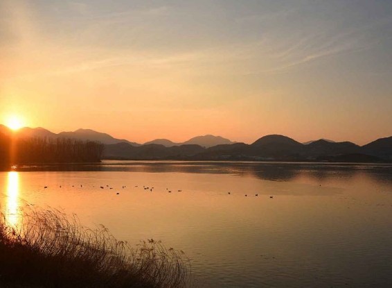 경남 여행지 추천 ❘ 창원 가볼만한 곳 베스트 10. 주남저수지