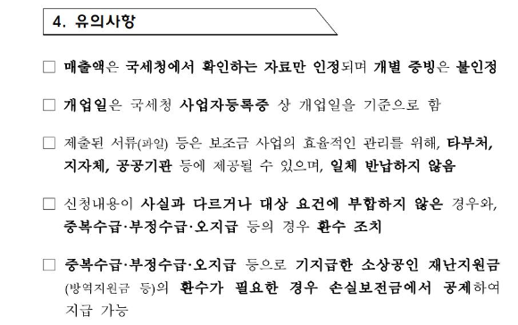 소상공인손실보전금