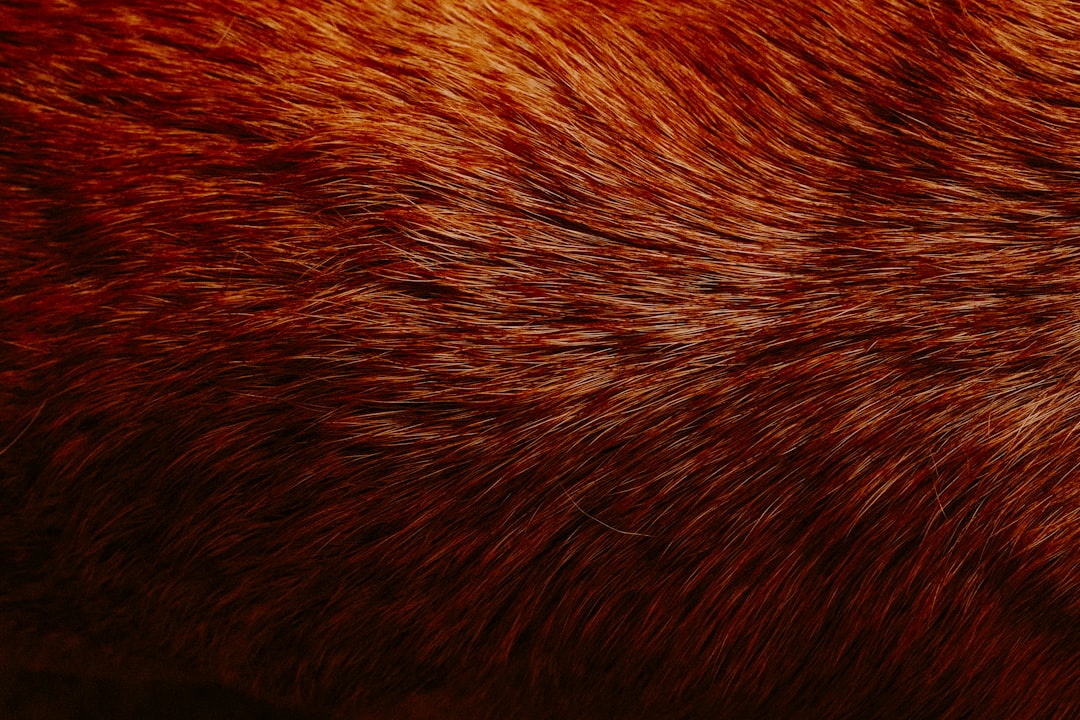 Alopecia
