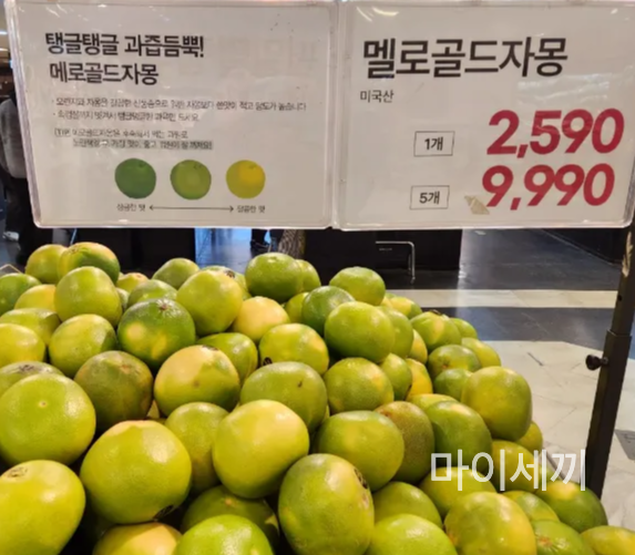 메로골드자몽 가격